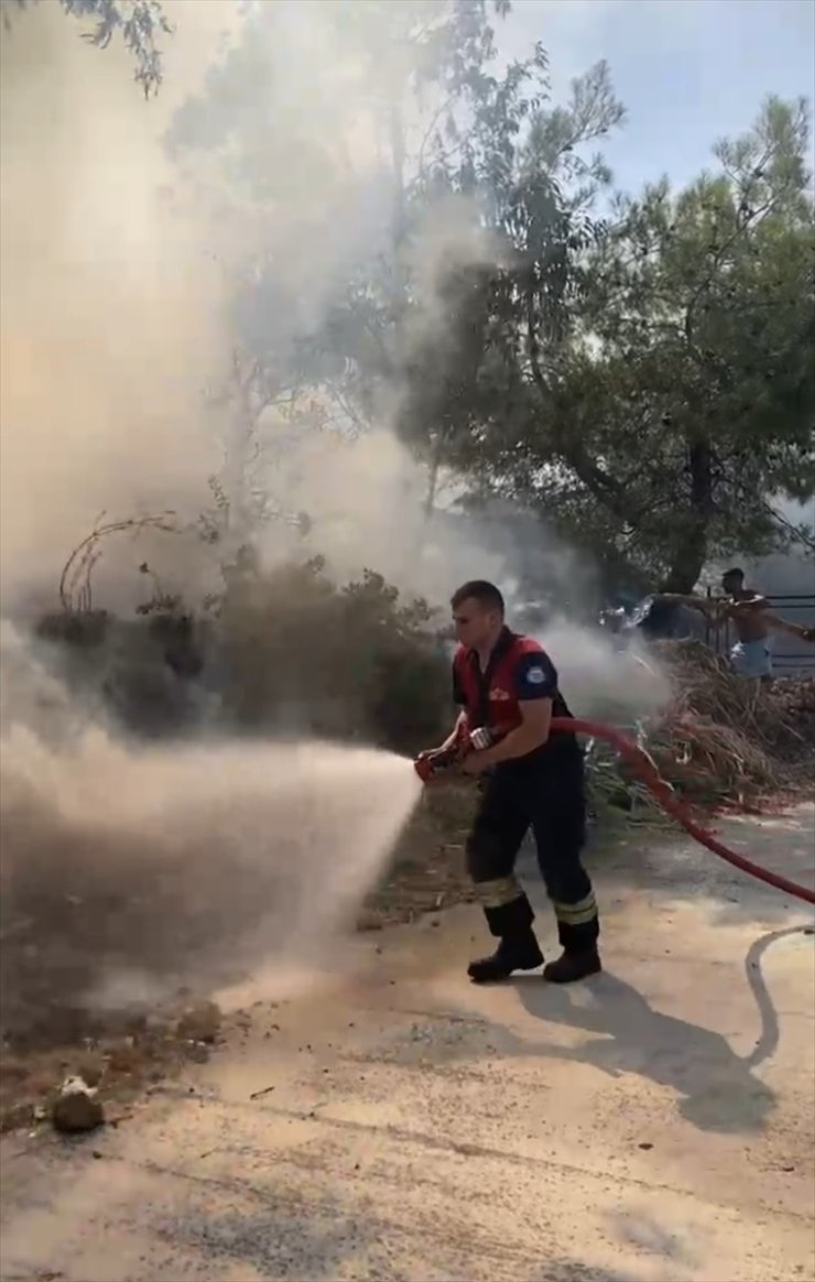 Bodrum'da yerleşim yeri yakınındaki otluk alanda çıkan yangın söndürüldü