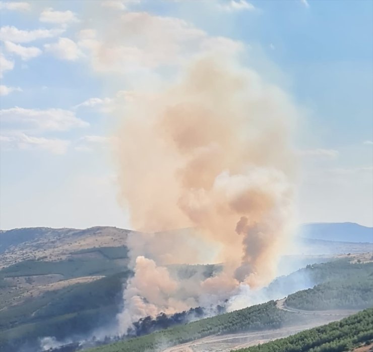 Denizli Çivril'de çıkan orman yangınına müdahale ediliyor