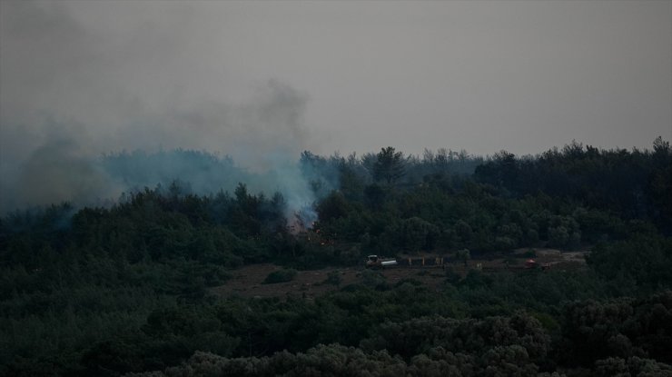 GÜNCELLEME - İzmir Urla'da çıkan orman yangınına müdahale ediliyor