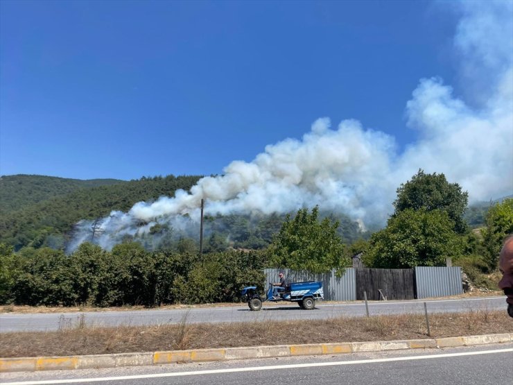 Sakarya'da çıkan yangında 10 hektarlık ormanlık alan zarar gördü