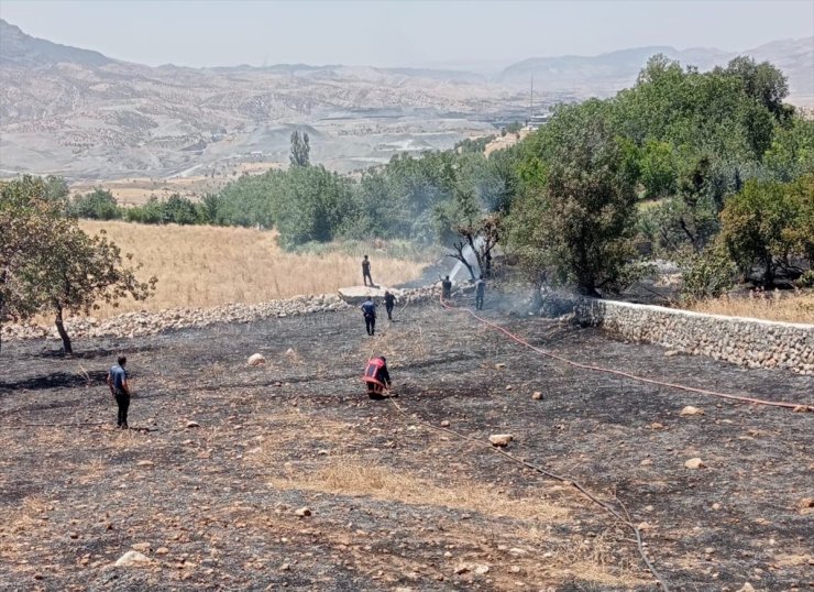 Şırnak'ta çıkan örtü yangını söndürüldü