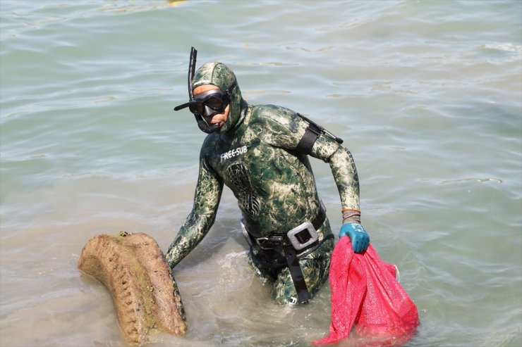 Bodrum'da dalgıçlar deniz dibinden 83 kilogram atık çıkardı