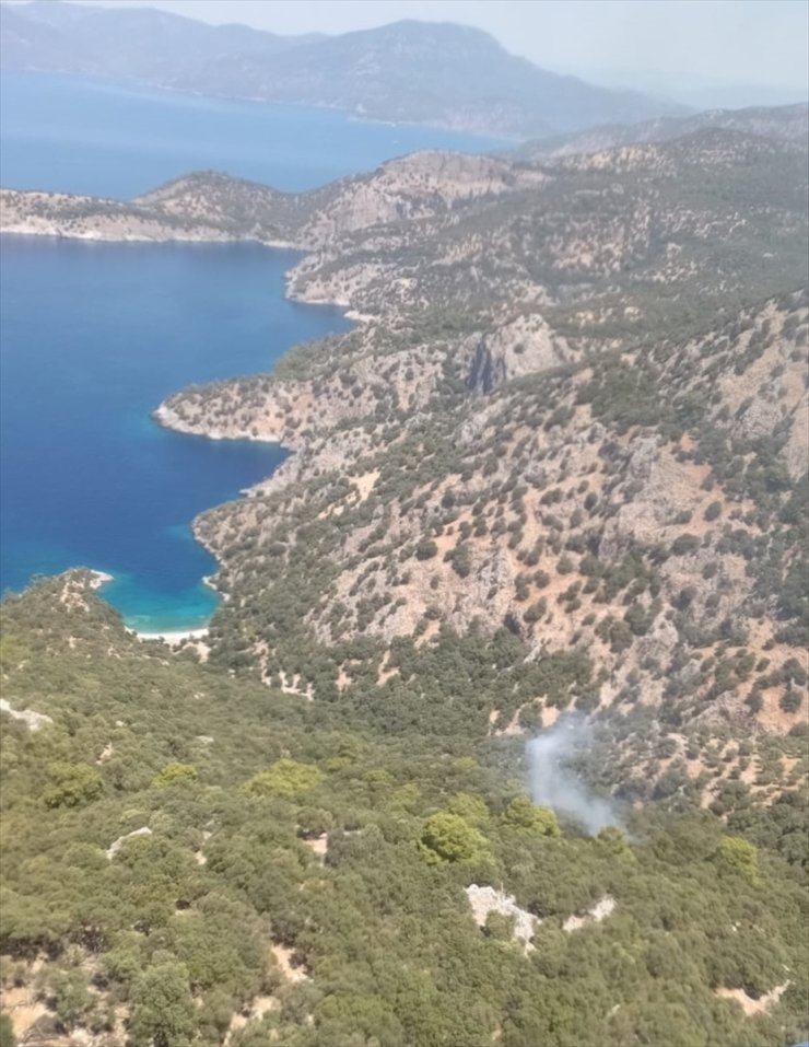 Muğla'nın Ortaca ilçesinde orman yangını çıktı