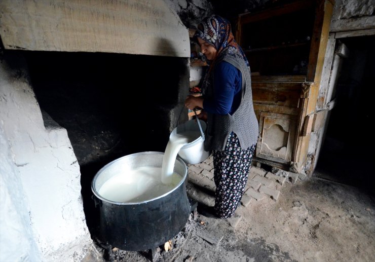 Süt üretiminin arttığı Kars'ta kadınların çeçil peyniri telaşı başladı