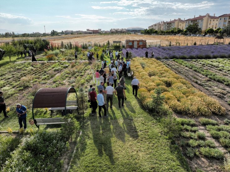 Van'da akademisyenlerin yetiştirdiği tıbbi ve aromatik bitkilerin hasadı yapıldı