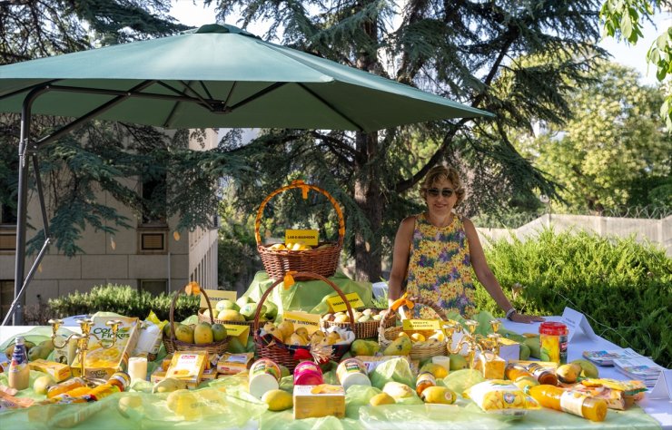 Ankara'da "Mango Festivali" etkinliği yapıldı