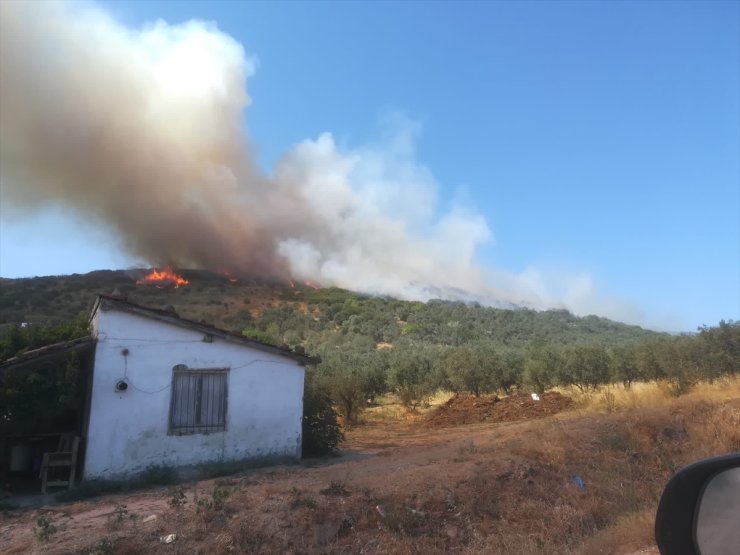 GÜNCELLEME - Balıkesir'de çıkan orman yangını kontrol altına alındı