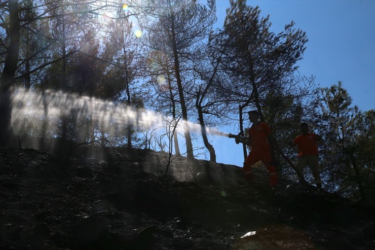 GÜNCELLEME - Hatay'da çıkan orman yangını kontrol altına alındı