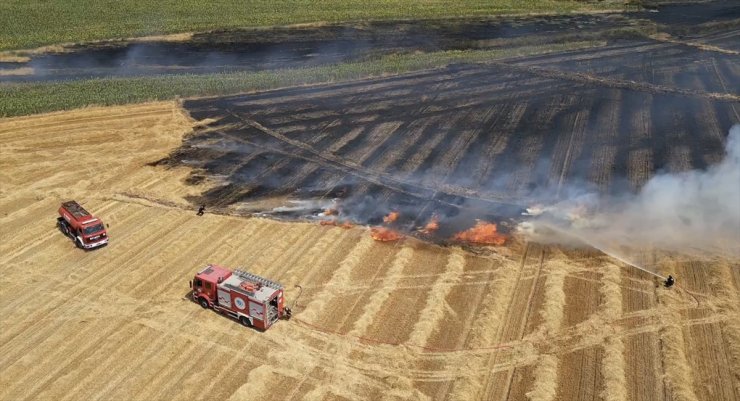 Tekirdağ'da temmuzda çıkan yangınlarda 19 bin 676 dekar tarım arazisi zarar gördü