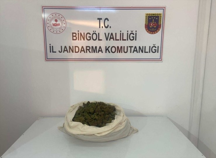 Bingöl'de 815 kök Hint keneviri ve 3 kilo 762 gram esrar ele geçirildi