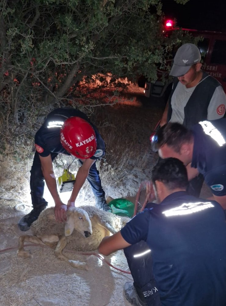 Kayseri'de itfaiye ekipleri kuyuya düşen koyunu kurtardı