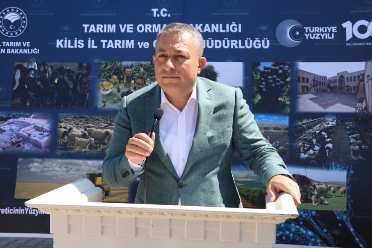 Kilis'te üreticilere 50 süt soğutma tankı dağıtıldı