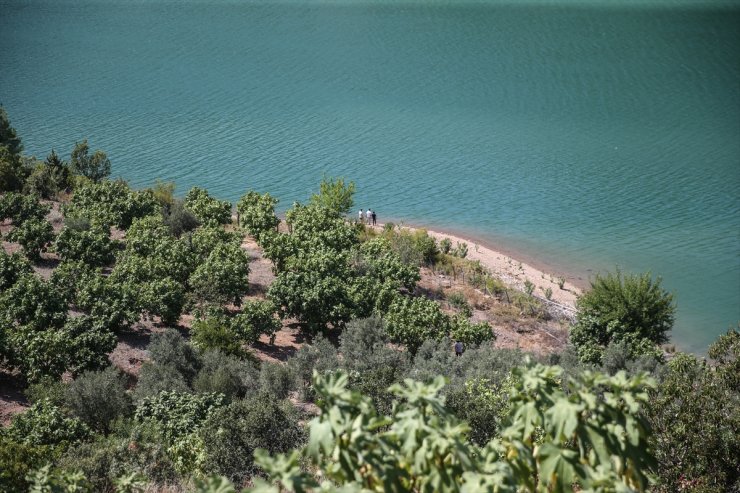 Adana'da helikopterin kırıma uğradığı bölgede inceleme yapıldı