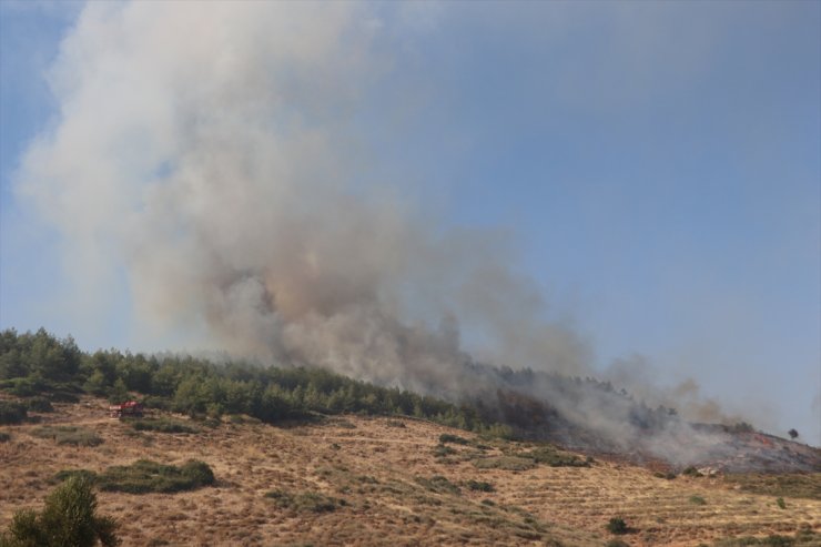 GÜNCELLEME - Hatay'da orman yangını çıktı