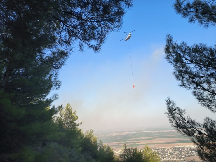 Hatay'da çıkan orman yangını kontrol altına alındı