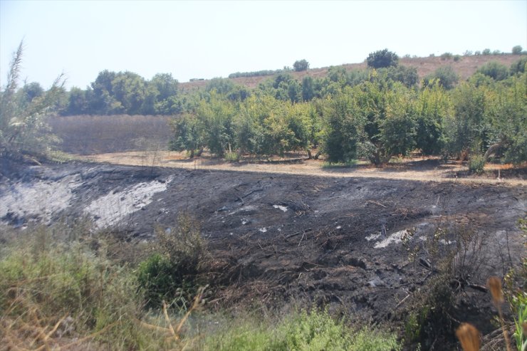 Antalya'da sazlık alanda çıkıp tarım arazisine sıçrayan yangın söndürüldü