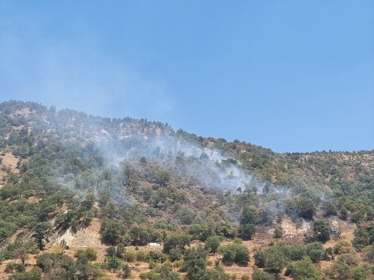 Aydın'da otomobilde başlayıp ormana sıçrayan yangın kontrol altına alındı