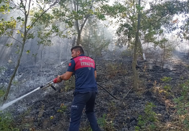 Tokat'ta çıkan örtü yangını söndürüldü