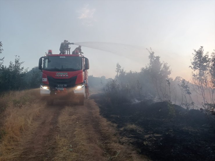 Bingöl'de çıkan orman yangınına müdahale ediliyor