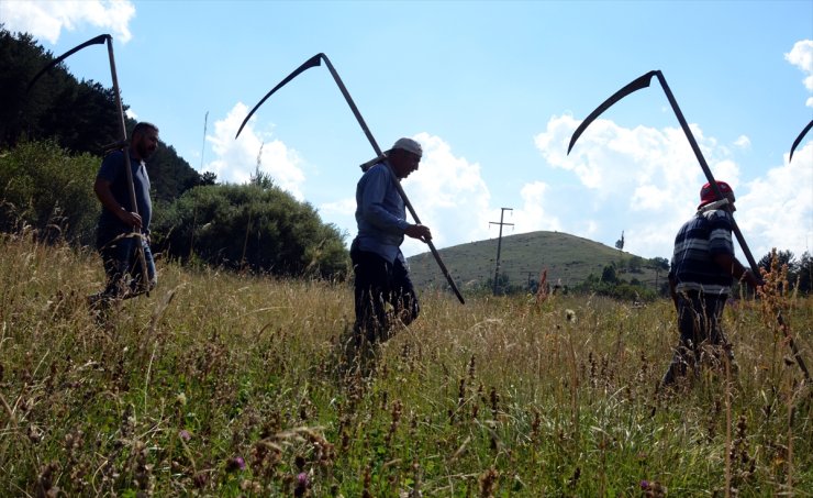 Sarıkamışlı çiftçiler közde çay ve türküler eşliğinde ot biçme mesaisinde