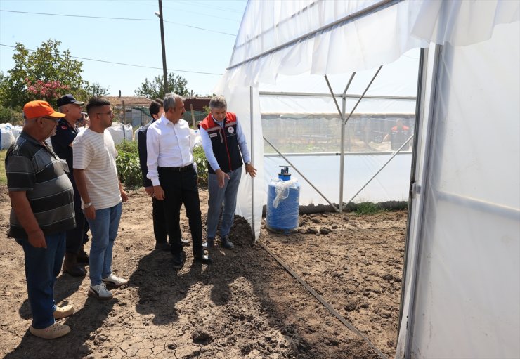 Edirne'de sera alanının devlet desteğiyle 500 dekara çıkarılması hedefleniyor