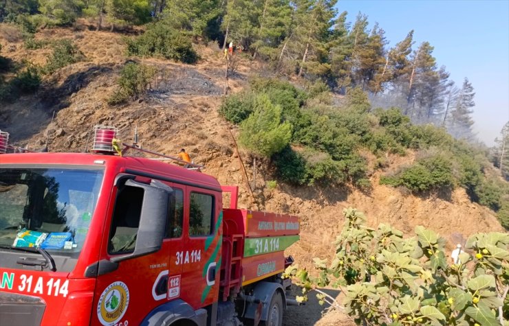 GÜNCELLEME - Hatay'da çıkan orman yangını kontrol altına alındı