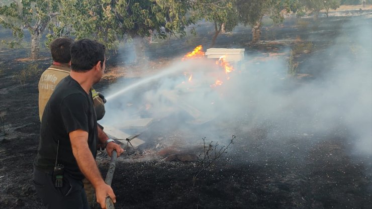 İzmir'de çıkan yangında 18 dönümlük alan zarar gördü