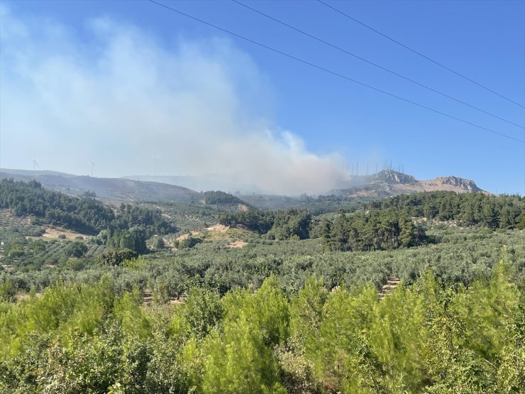 Bursa'da çıkan orman yangınına müdahale ediliyor