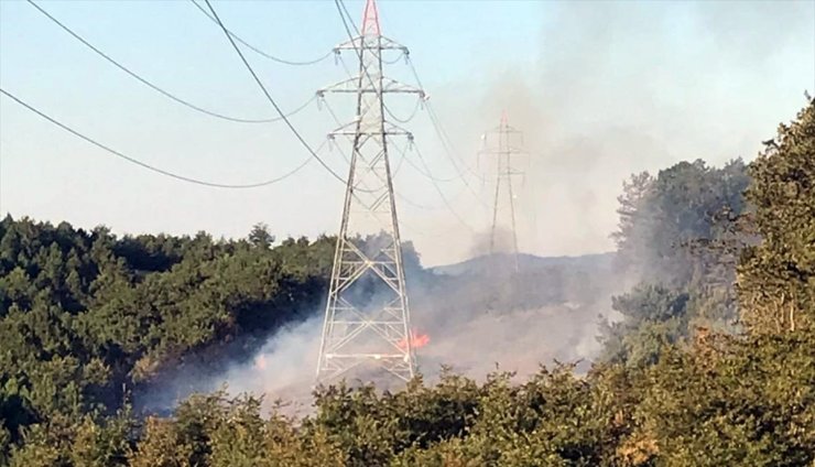 Sakarya'da ormanlık alanda çıkan yangın kontrol altına alındı