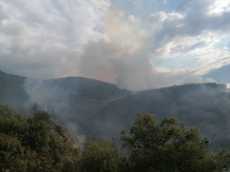 Tokat'ta ormanlık alanda çıkan yangına müdahale ediliyor