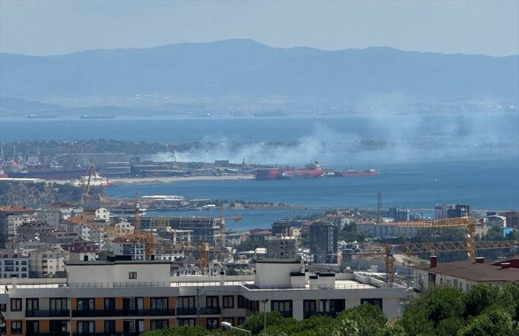 Tuzla'da ağaçlık alanda yangın çıktı