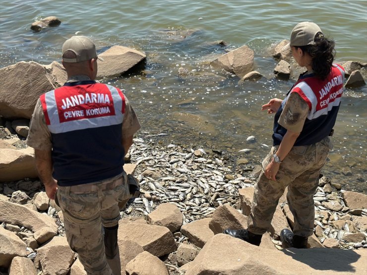 Diyarbakır'daki Devegeçidi Baraj Gölü'nde balık ölümleriyle ilgili inceleme başlatıldı