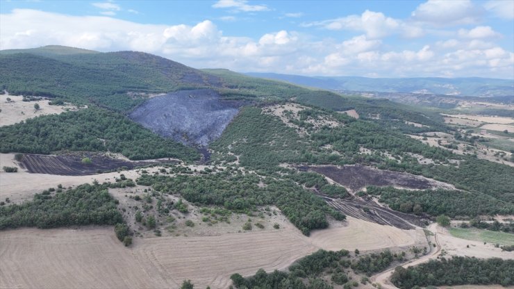 GÜNCELLEME - Tokat'ta ormanlık alanda çıkan yangın söndürüldü