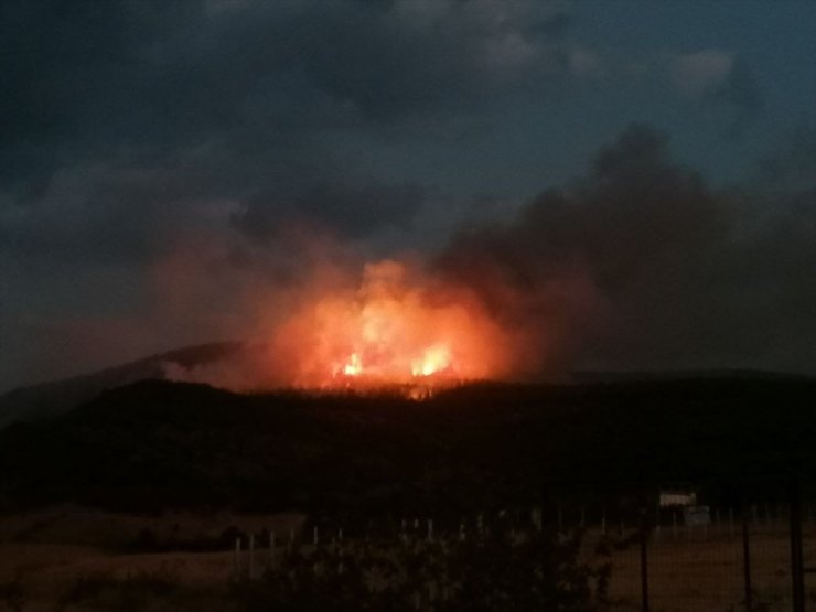 Tokat'ta ormanlık alanda çıkan yangın söndürüldü