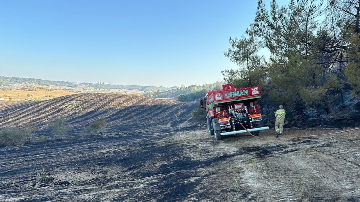 GÜNCELLEME - Adana'da ormanlık alana sıçrayan yangın kontrol altına alındı