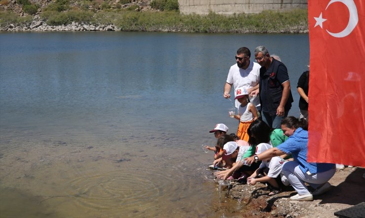 Çanakkale'deki baraj ve göletlere 1 milyon 750 bin sazan yavrusu bırakıldı