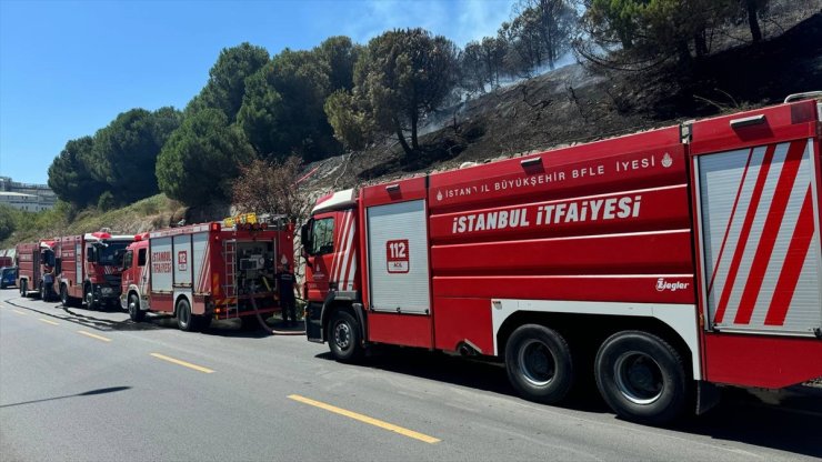 Başakşehir'de otluk alandan ağaçlık bölgeye sıçrayan yangın kontrol altına alındı