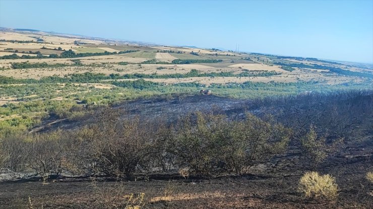 Edirne'de çıkan orman yangını söndürüldü