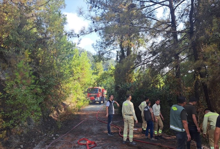 Hatay'da ormanlık alanda çıkan yangın söndürüldü