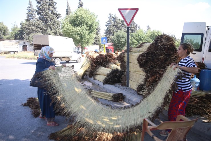 Kahramanmaraş'ta mevsimlik işçiler "çiğ" mesaisinde