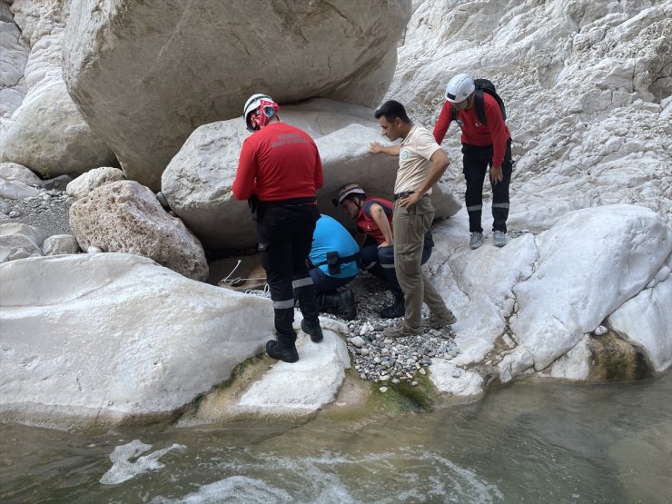 Antalya'da dere yatağında yaralı bulunan yaban keçisi kurtarıldı