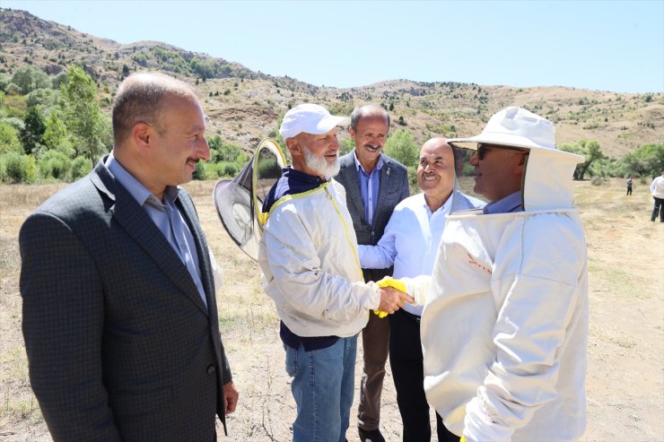 Bal hasadının başladığı Sivas'ta 6 bin 500 ton rekolte bekleniyor