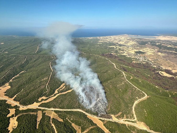 Çanakkale'nin Eceabat ilçesindeki orman yangınına müdahale ediliyor