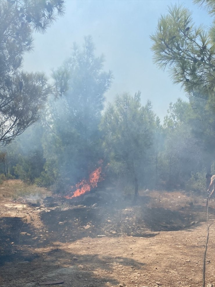 Mersin'de 4 noktada çıkan orman yangınları söndürüldü