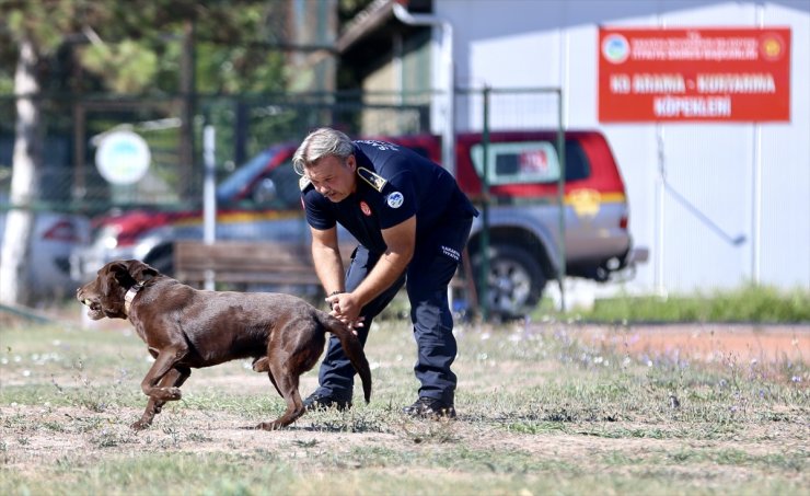 Depremzede itfaiyeci, enkazdan çıkmasını sağlayan arama kurtarma köpekleriyle hayat kurtarıyor