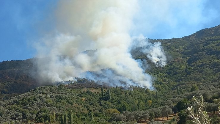 İzmir Ödemiş'te ormanlık alanda çıkan yangına müdahale ediliyor