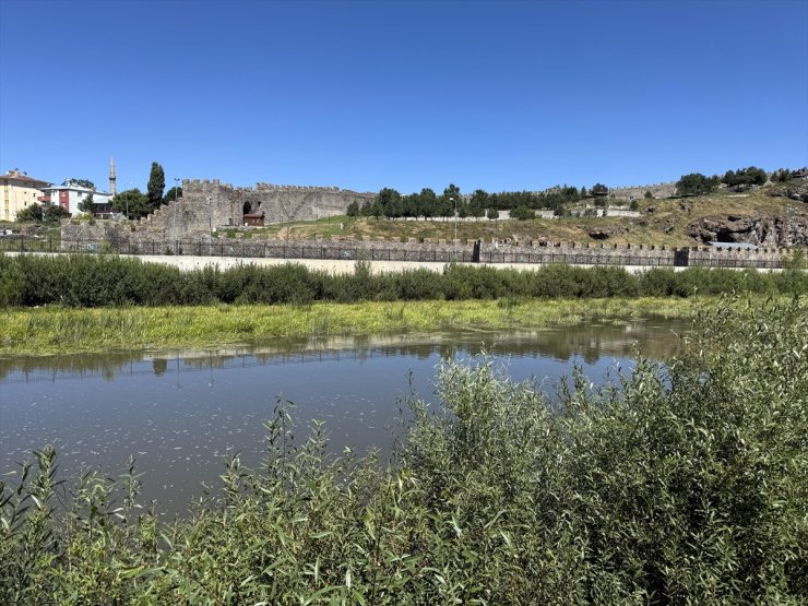 Sıcakların etkisiyle suyu azalan Ardahan'daki Kura Nehri'ni yosun kapladı