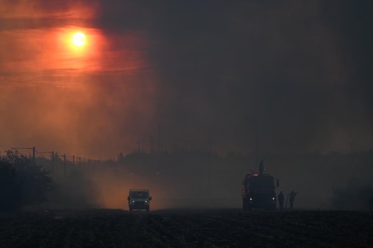 Edirne'de çıkan anız yangını söndürüldü