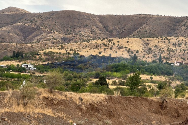 Elazığ’da çıkan yangında 150 dönüm tarım arazisi zarar gördü