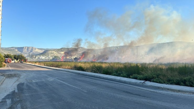 Mersin'de otluk alanda çıkan yangın söndürüldü